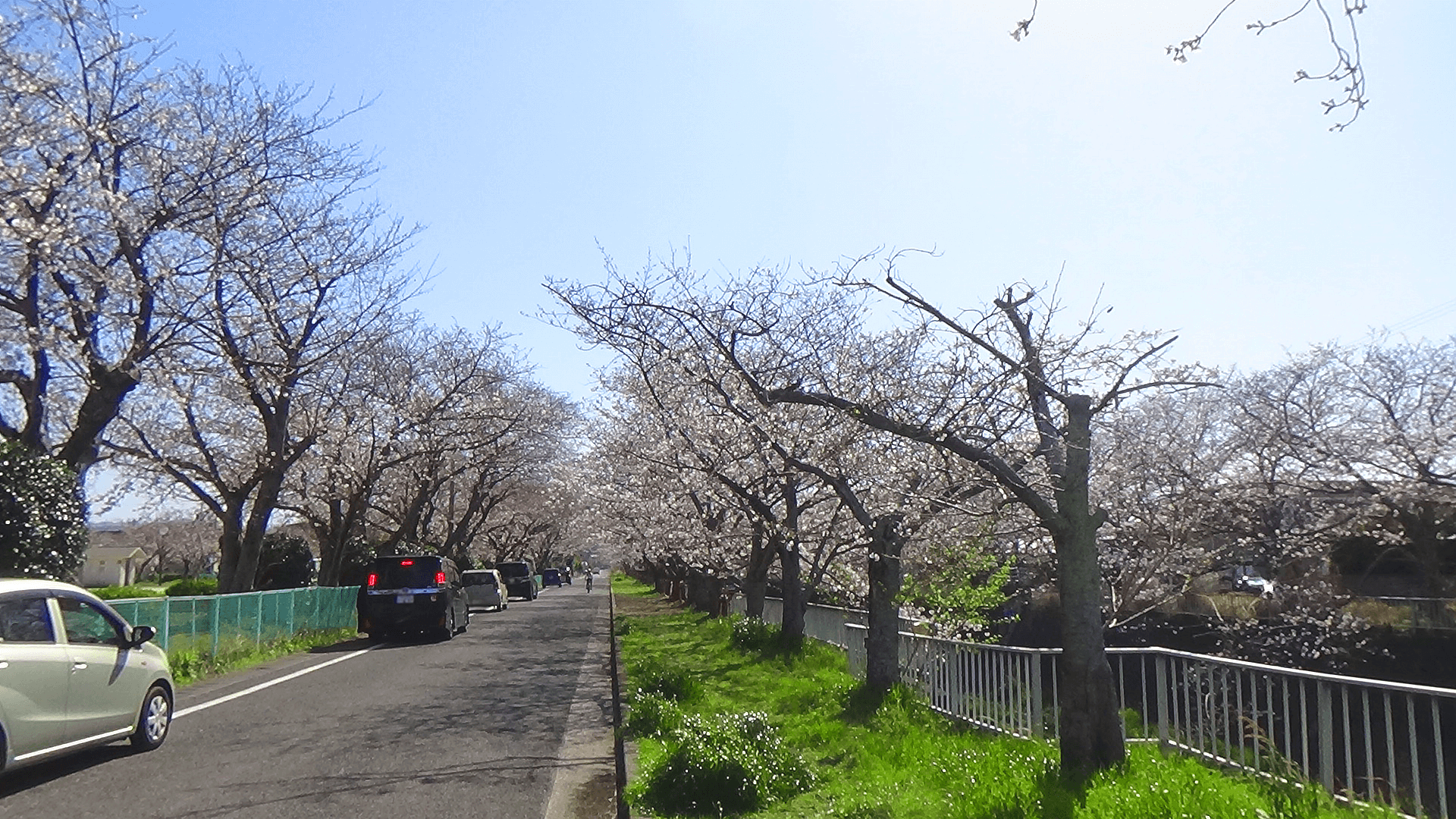浜公園横のロゼオアーチ